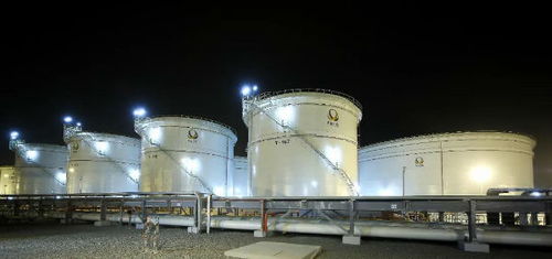 中石化境外項目榮膺全球倉儲業殊榮，引領行業創新與標準化