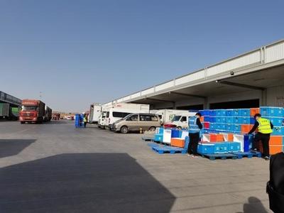 五年蝶變 河南物流企業激增2.5萬多家，鄭州倉儲業步入高速發展新階段